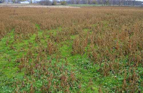Property photo 17 - 80 Acres & Home - Property Offered in 4 Tracts from 2.3 to 30.0 Acres